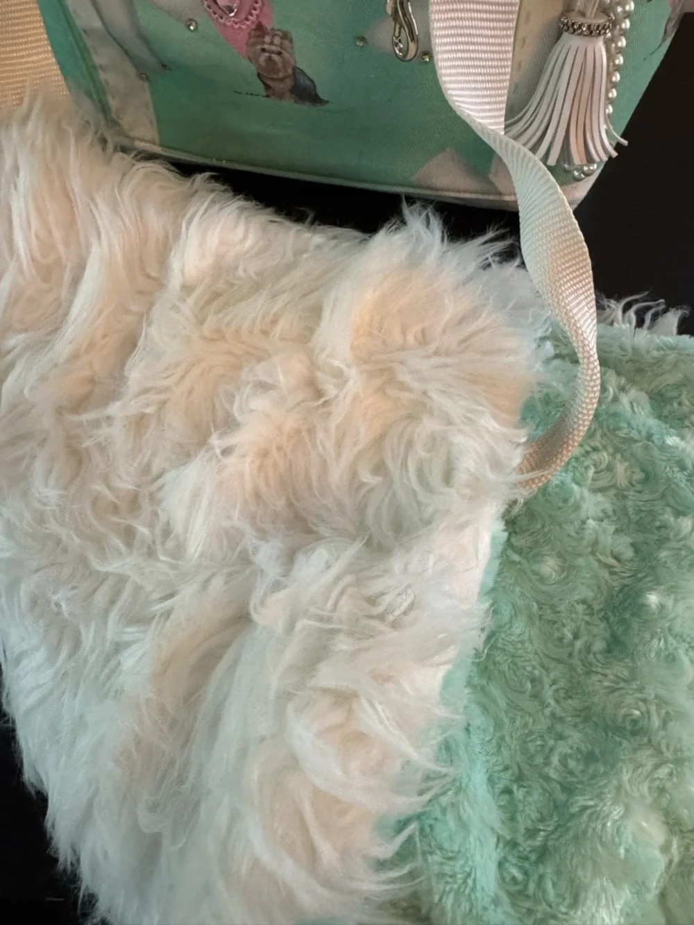 Mint Green Faux Fur Pet Carrier Bag & Matching Blanket